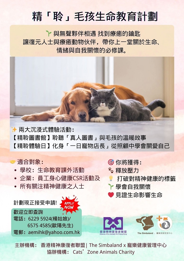 計劃圖片